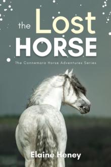 Lost Horse - Book 6 in the Connemara Horse Adventure Series for Kids : Connemara Horse Adventures, #6