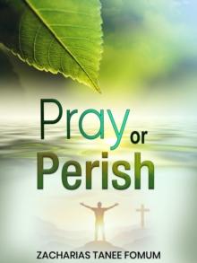 Pray or Perish : Prayer Power Series, #27