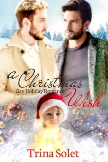 Christmas Wish (Gay Holiday Romance)