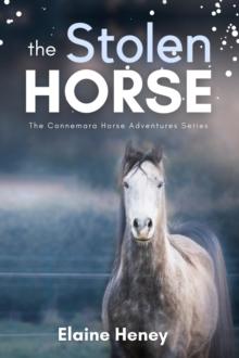 Stolen Horse - Book 4 in the Connemara Horse Adventure Series for Kids : Connemara Horse Adventures, #4