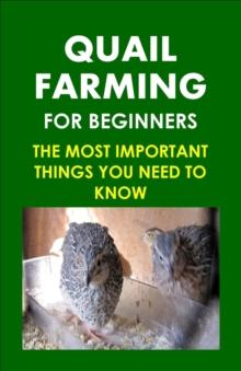 Quail Farming For Beginners: The Most Important Things You Need To Know