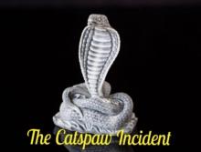 Catspaw Incident