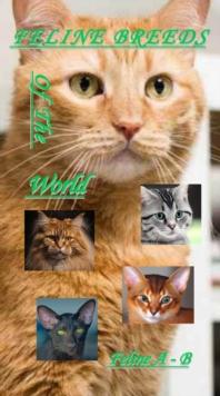 Feline Breeds Of The World A - B