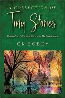 Collection of Tiny Stories