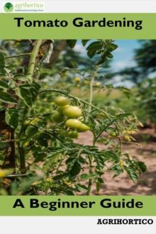 Tomato Gardening A Beginner Guide