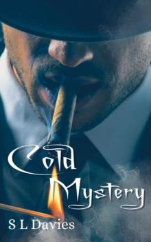 Cold Mystery : Cold Case, #2