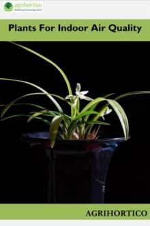 Plants for Indoor Air Quality