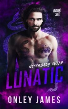 Lunatic : Necessary Evils, #6