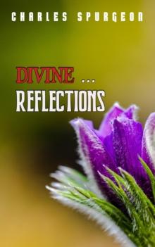 Divine Reflections