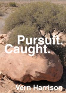 Pursuit. Caught.