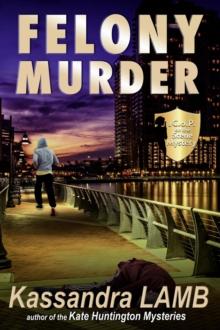 Felony Murder, A C.o.P. on the Scene Mystery : A C.o.P. on the Scene Mystery, #4