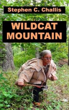 Wildcat Mountain