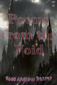 Poems from the Void