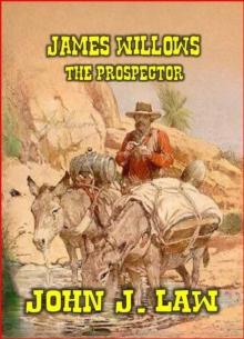 James Willows - The Prospector