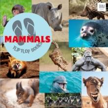 Mammals