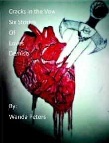 Cracks in the Vow Six Stories of Loves Demise