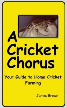 Cricket Chrous: Your Guide to Home Cricket Farming