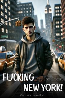 Fucking New York! - Gay Erotic Story