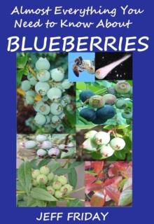 Almost Everything You Need to Know About Blueberries