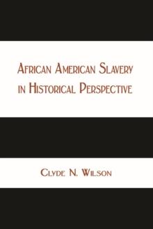 African American Slavery in Historical Perspective