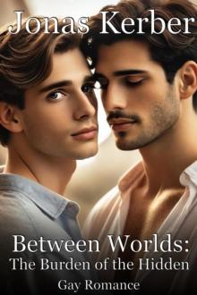 Between worlds - The burden of the hidden: Gay Romance