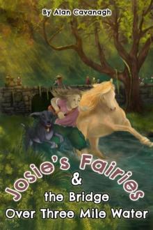 Josie's Fairies And the  Bridge Over Three Mile Water