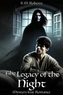 Legacy of the Night: Mystery Gay Romance