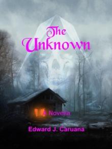 Unknown : A Novella