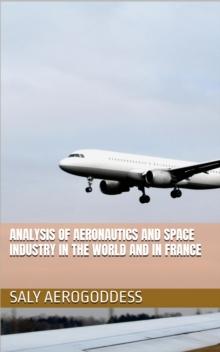 Analysis of the global and French aerospace sector