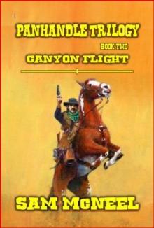 Panhandle Trilogy - Canyon Flight : Panhandle Trilogy, #2