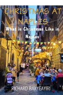 Christmas at Naples: What is Christmas Like in Naples?