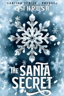 Santa Secret : Santina Series, #0