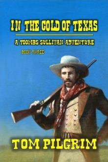 In The Cold Of Texas : Toombs Sullivan, #3