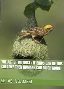 Art of Instinct: If Birds Can Be This Creative, Then Humans Can Much More!