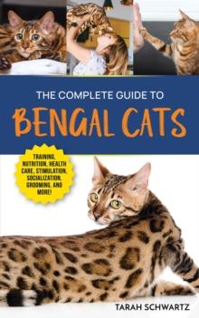 Complete Guide to Bengal Cats