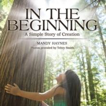 In the Beginning : A Simple Story of Creation