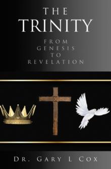 THE TRINITY : FROM GENESIS TO REVELATION