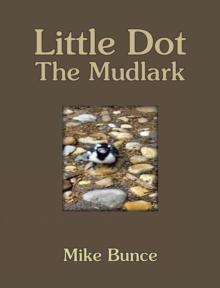 Little Dot The Mudlark