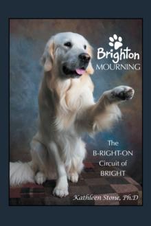 Brighton Mourning : The B-Right-On Circuit of Bright