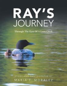 Ray's Journey : Through the Eyes of a Loon Chick