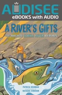 A River's Gifts : The Mighty Elwha River Reborn