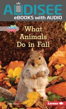 What Animals Do in Fall