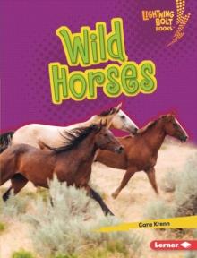 Wild Horses