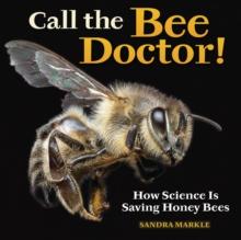 Call the Bee Doctor! : How Science Is Saving Honey Bees