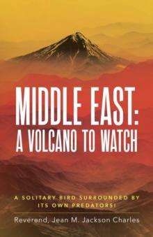 Middle East: A Volcano To Watch : A Solitary Bird Surrounded By Its Own Predators!