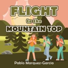 Flight to the Mountain Top