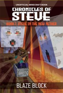 Chronicles of Steve Book 1 : Steve in the New Nether