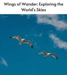 Wings of Wander : Exploring the World's Skies