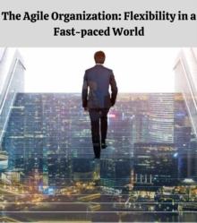 The Agile Organization : Flexibility in a Fast-paced World