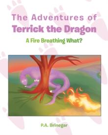 The Adventures of Terrick the Dragon : A Fire Breathing What?